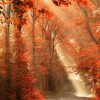 抖音吴柳芳