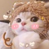 斗鱼乌龙桃桃呀240669