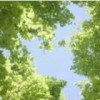 虎牙QM-北挽【国服李白】