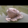 斗鱼用户80766560