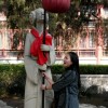 抖音戈戈想睡觉(助眠)