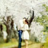 虎牙鲤娱-晨芙