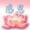 虎牙玩味-流年似锦