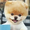 斗鱼XX是个坏女人