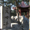 斗鱼阿杰很努力
