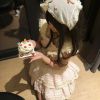 抖音金铲铲大弟