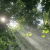 抖音八戒永飞