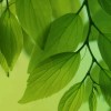抖音甄嬛原声(解压 助眠)