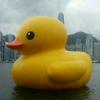 抖音无聊邹