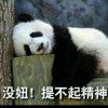 虎牙瀚基j-一禾