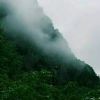虎牙YES小哥