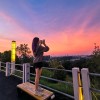 抖音紫罗兰☘️养生拍打操