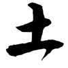 虎牙卡牌先生