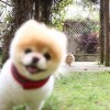 抖音逸雪困呼呼(声控助眠