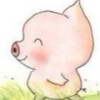 虎牙Dae-万般娇宠-林哥冠