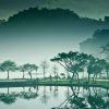 抖音超想吃番茄