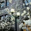 抖音小政yooo