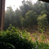 斗鱼日月行尘