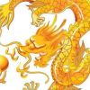抖音洵