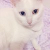 抖音随缘心声读文电台FM