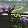 抖音听书助眠