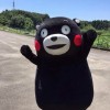 抖音老高与小茉(助眠版)
