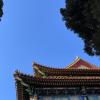 斗鱼云小鱼M