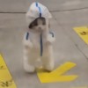 抖音小豆苗儿
