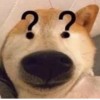 抖音赫如枫