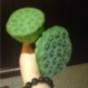 斗鱼Ellin艾琳