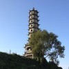 斗鱼果粒橙cici