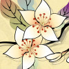 抖音唯爱冰🧊声［长视频合集］