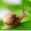 斗鱼伊焓mm丶