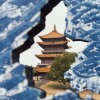 斗鱼DY户外野王