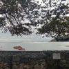 虎牙剑魂小龙