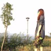 虎牙【Shroud】