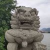 抖音西瓜(助眠版)