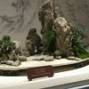 斗鱼慧慧是什么