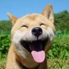 抖音小豆蔻儿
