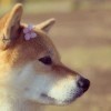 抖音谢婷pretty🧊