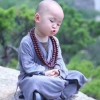 抖音爱跳舞的小野猫