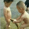 抖音板儿爷