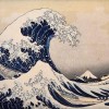 抖音大山猫子