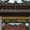 抖音一只水