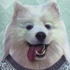 抖音小亦大王