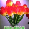 抖音努力的啊桐