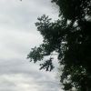 抖音我的台灯没电了