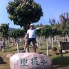 抖音大自然助眠音乐