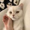 抖音house漫剪