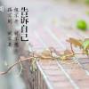 抖音丝言不吃包子